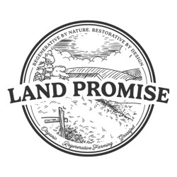 Land Promise